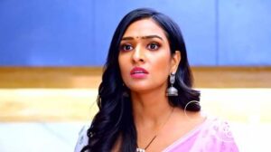 Bhagya Lakshmi 22 April Written Update: Secrets, Betrayals, and a Shocking Kidnapping